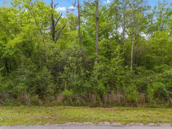 Jay, FL 32565,LOT 23 Mineral Springs Rd