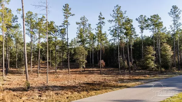 Pace, FL 32571,Lot 20 Steele Meadow Dr