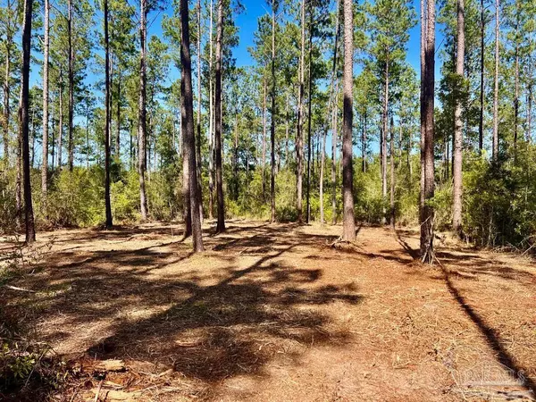 Pace, FL 32571,Lot 91 Turning Leaf Rd