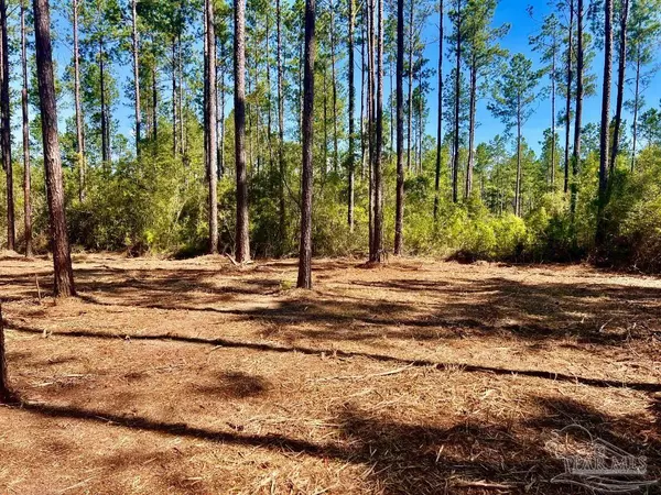 Pace, FL 32571,Lot 92 Turning Leaf Rd