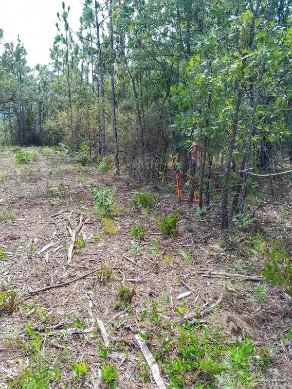 Harold, FL 32564,Parcel B-2 Wildlife Rd