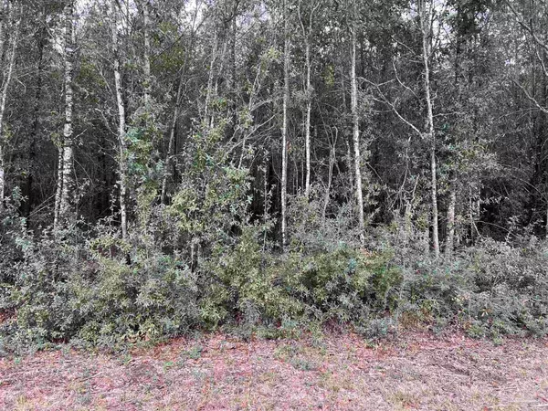 Milton, FL 32570,Lot 3 Horace Lunsford Rd