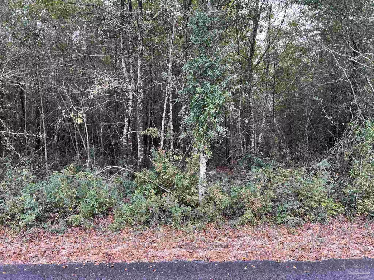 Milton, FL 32570,Lot 4 Horace Lunsford Rd