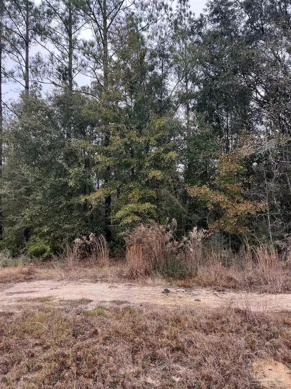 Milton, FL 32570,Lot 2 Pond Creek Rd