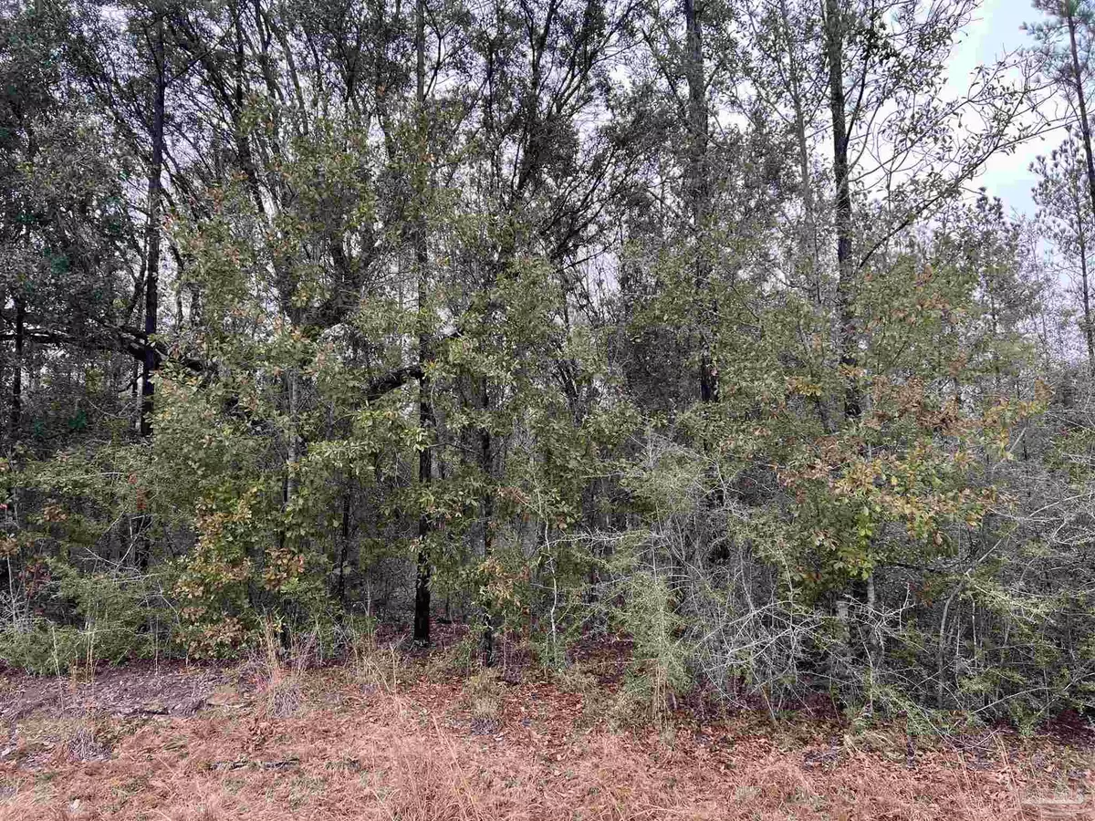 Milton, FL 32570,Lot 4 Pond Creek Rd