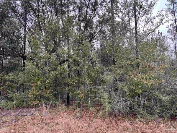 Lot 4 Pond Creek Rd, Milton, FL 32570