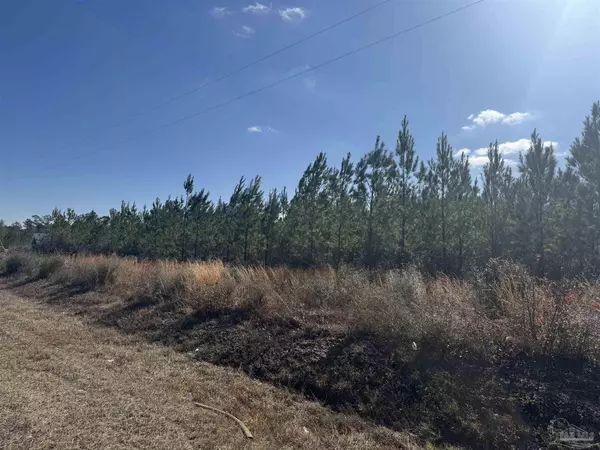 Jay, FL 32565,Lot 19 Mineral Springs Rd