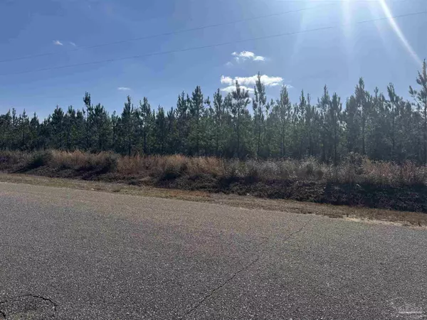 Jay, FL 32565,Lot 19 Mineral Springs Rd