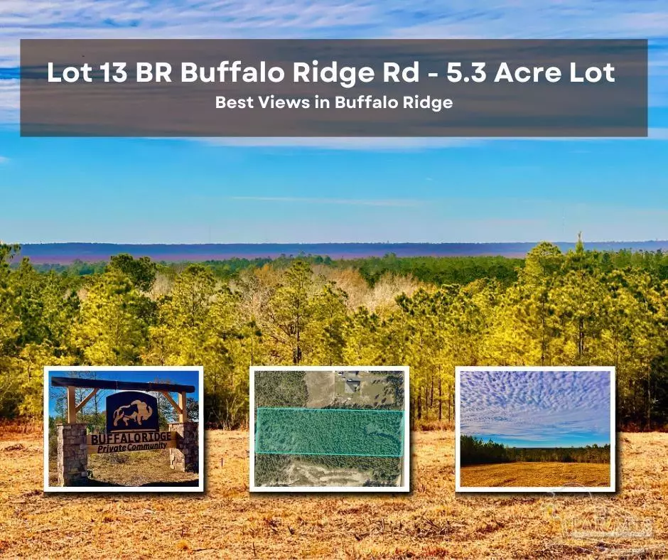 Pace, FL 32571,Lot 13 BR Buffalo Ridge Rd