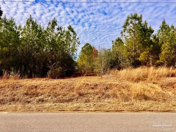 Pace, FL 32571,Lot 13 BR Buffalo Ridge Rd