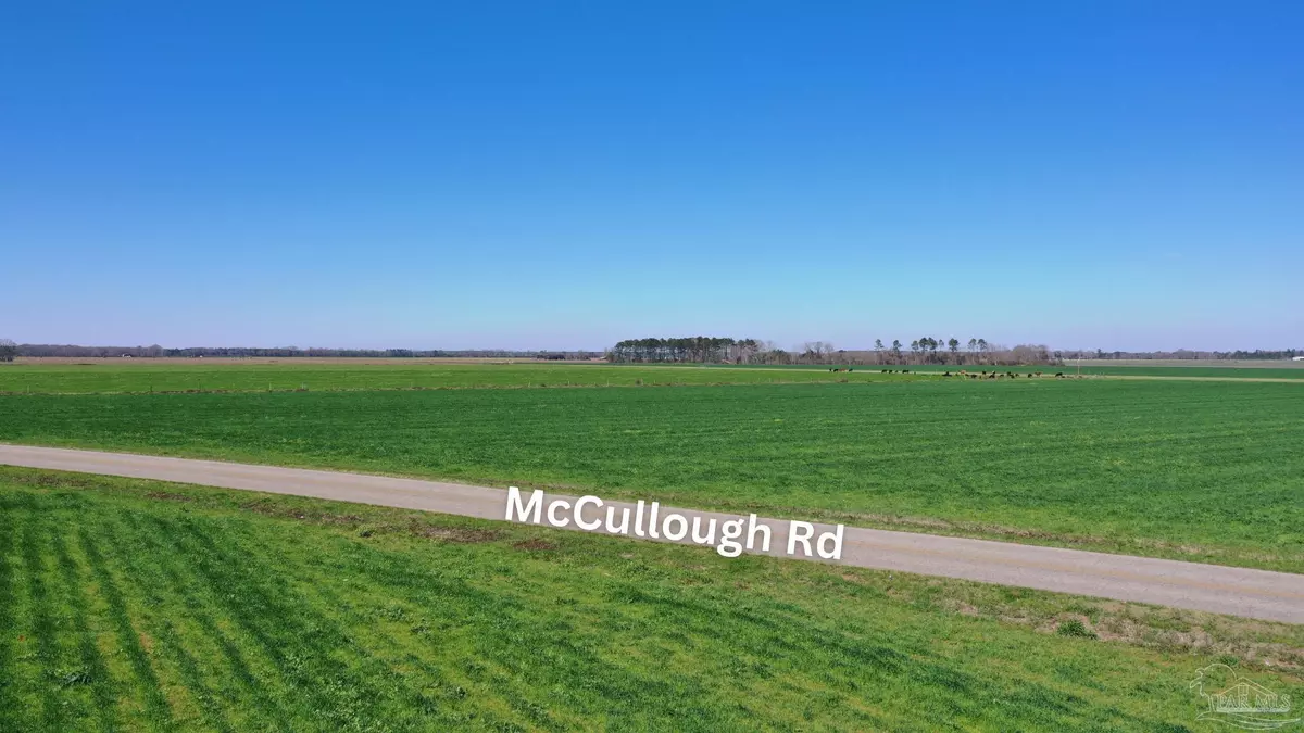 Atmore, AL 36502,Lot 2B Mccullough Rd