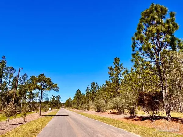 Pace, FL 32571,Lot 33 Pine Preserve Ln