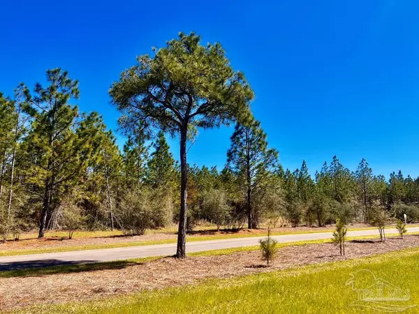 Pace, FL 32571,Lot 33 Pine Preserve Ln