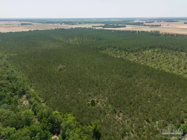 11 Bud Diamond Rd, Jay, FL 32565