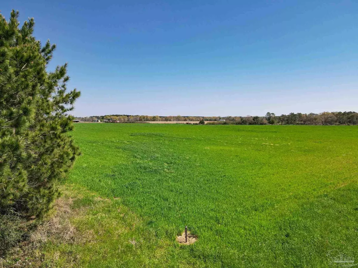 Mcdavid, FL 32568,5872 S State Hwy 99