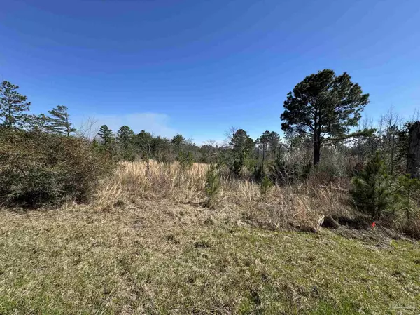 Jay, FL 32565,Lot 6 Will Jones Rd