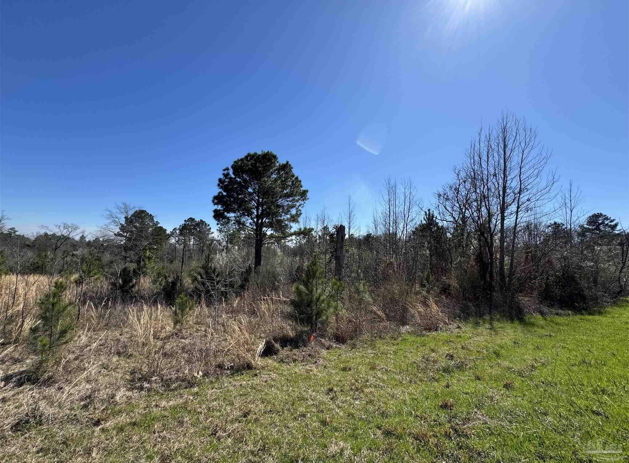 Jay, FL 32565,Lot 6 Will Jones Rd