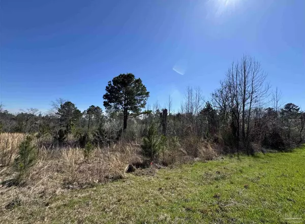 Jay, FL 32565,Lot 6 Will Jones Rd