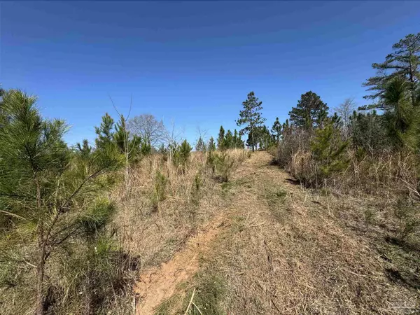 Jay, FL 32565,Lot 6 Will Jones Rd