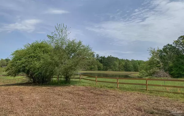 Atmore, AL 36502,0 Maplewood Dr