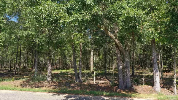 Atmore, AL 36502,Lot 4 Johnson Rd