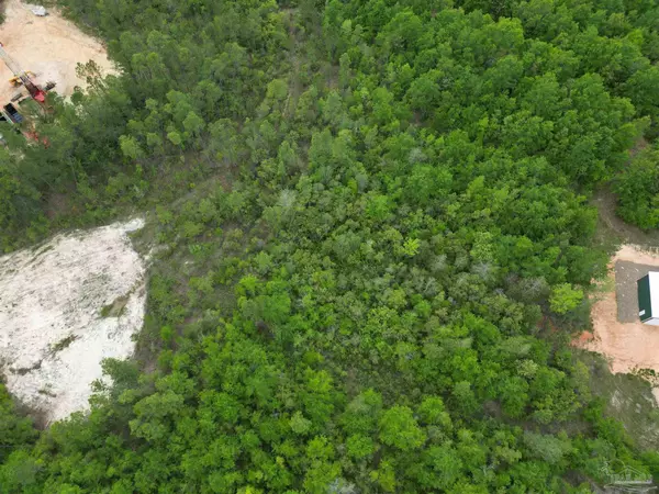 Jay, FL 32565,TBD Walling Rd