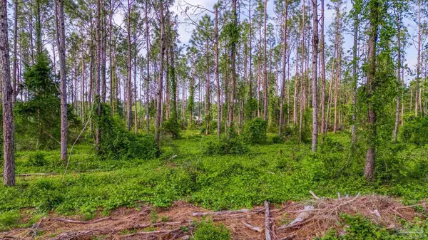 Milton, FL 32570,0005 Martin Rd