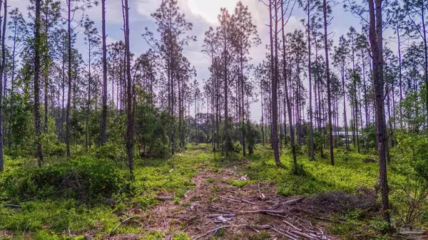 Milton, FL 32570,0005 Martin Rd