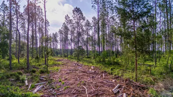 Milton, FL 32570,0005 Martin Rd