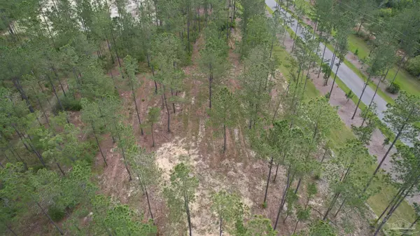 Jay, FL 32565,9118 Pine Preserve Ln