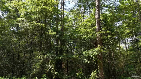 Milton, FL 32583,Lot 7 Forestbrook Dr