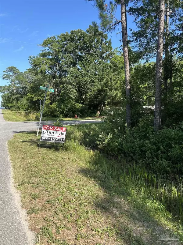 Bagdad, FL 32583,0000 Dickerson City Rd