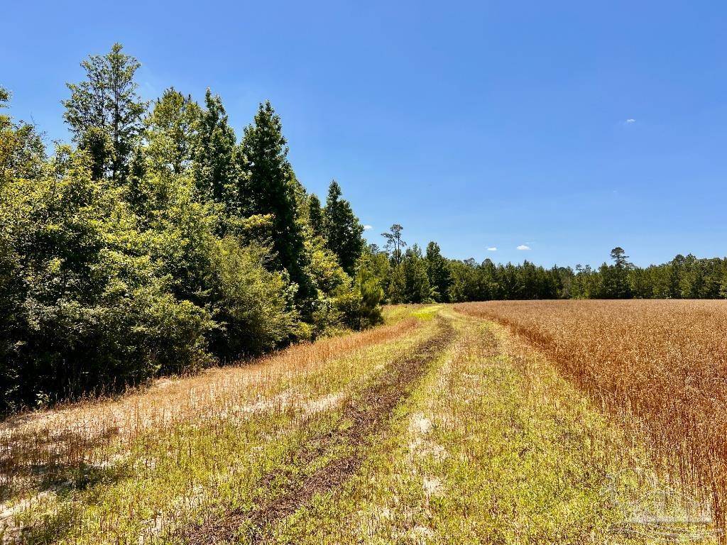 Jay, FL 32565,Lot 56 Mineral Springs Rd