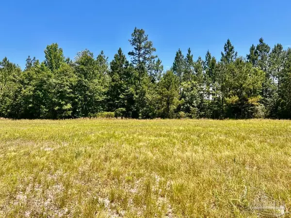 Jay, FL 32565,Lot 48 to 56 Mineral Springs Rd