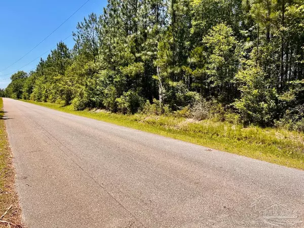 Jay, FL 32565,Lot 48 to 56 Mineral Springs Rd