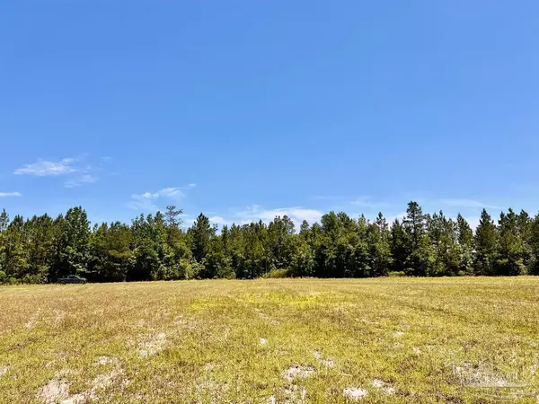 Jay, FL 32565,Lot 48 to 56 Mineral Springs Rd