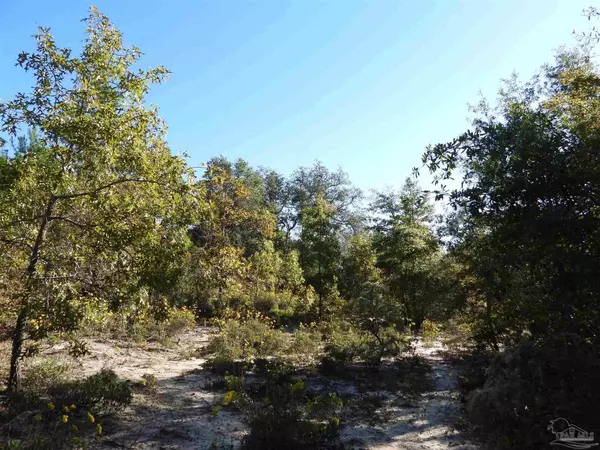Holt, FL 32564,00 Log Lake Rd