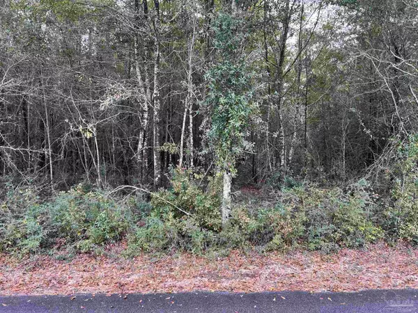 Lot 20 Horace Lunsford Rd, Milton, FL 32570