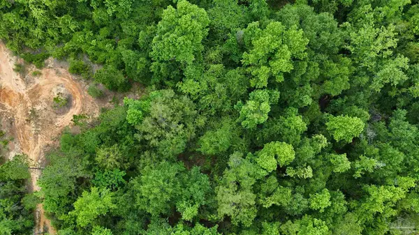 Cantonment, FL 32533,S Chipper Rd