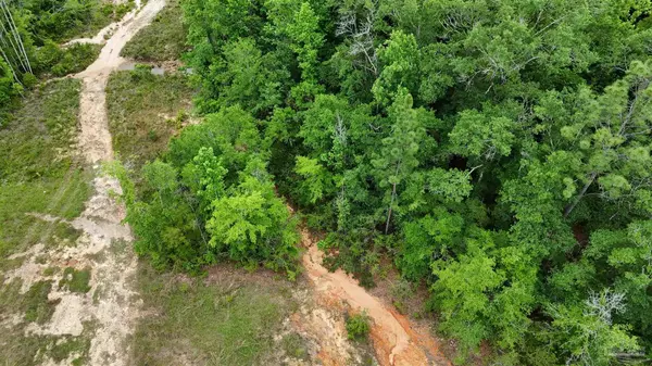 Cantonment, FL 32533,S Chipper Rd