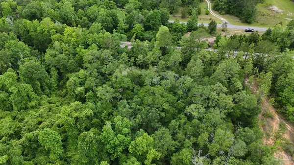 Cantonment, FL 32533,S Chipper Rd