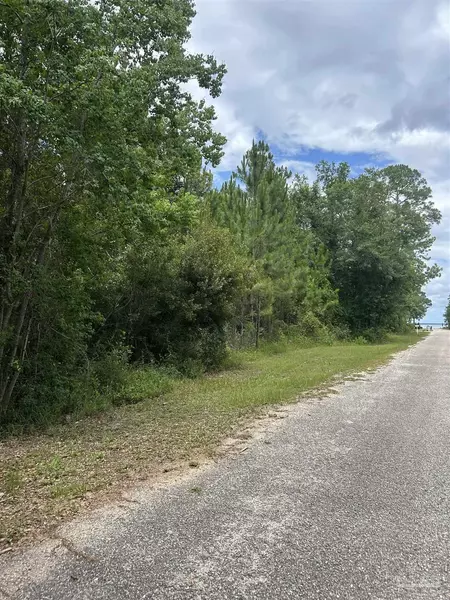 0000 Grey Heron Dr, Bagdad, FL 32583