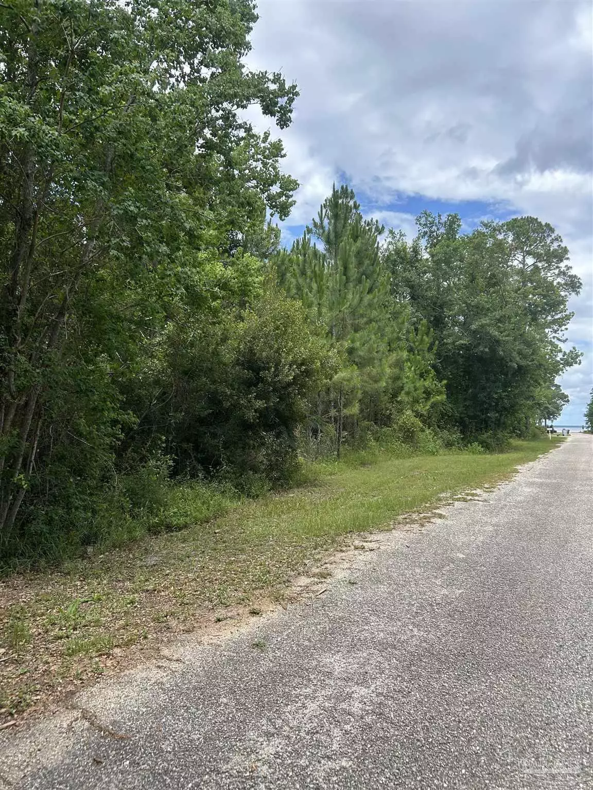 Bagdad, FL 32583,0000 Grey Heron Dr