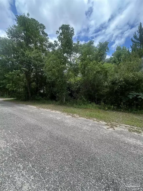 Bagdad, FL 32583,0000 Grey Heron Dr