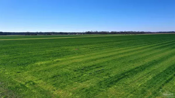 Atmore, AL 36502,Lot 14 Davis Pond Rd