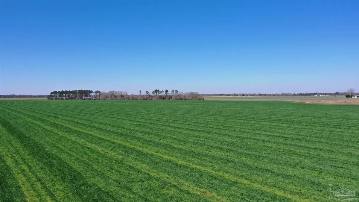 Atmore, AL 36502,Lot 14 Davis Pond Rd