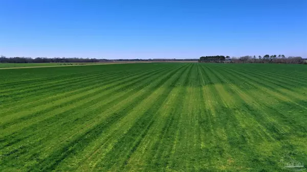 Atmore, AL 36502,Lot 14 Davis Pond Rd