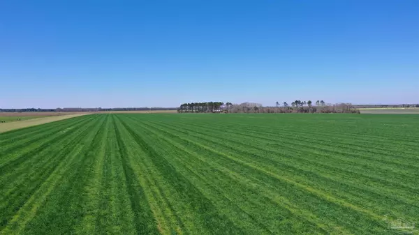 Atmore, AL 36502,Lot 14 Davis Pond Rd