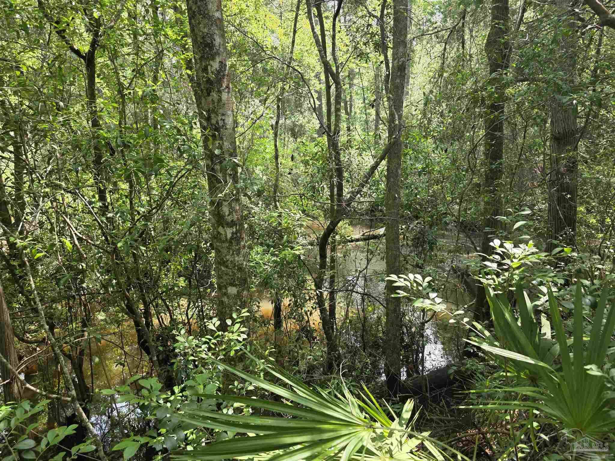 Pace, FL 32571,0 Crystal Creek Dr