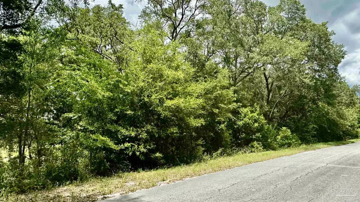 Dunnellon, FL 34431,0 Shorewood Dr